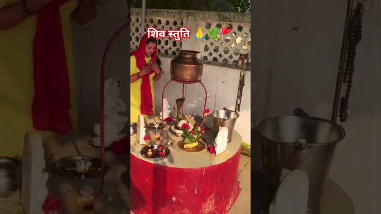 "धन्य धन्य भोलेनाथ | तीनों लोक के स्वामी शंकर भजन" #shorts #trend #bhajan #devotional #shiv #mahadev "धन्य धन्य भोलेनाथ | तीनों लोक के स्वामी शंकर भजन" #shorts #trend #bhajan #devotional #shiv #mahadev